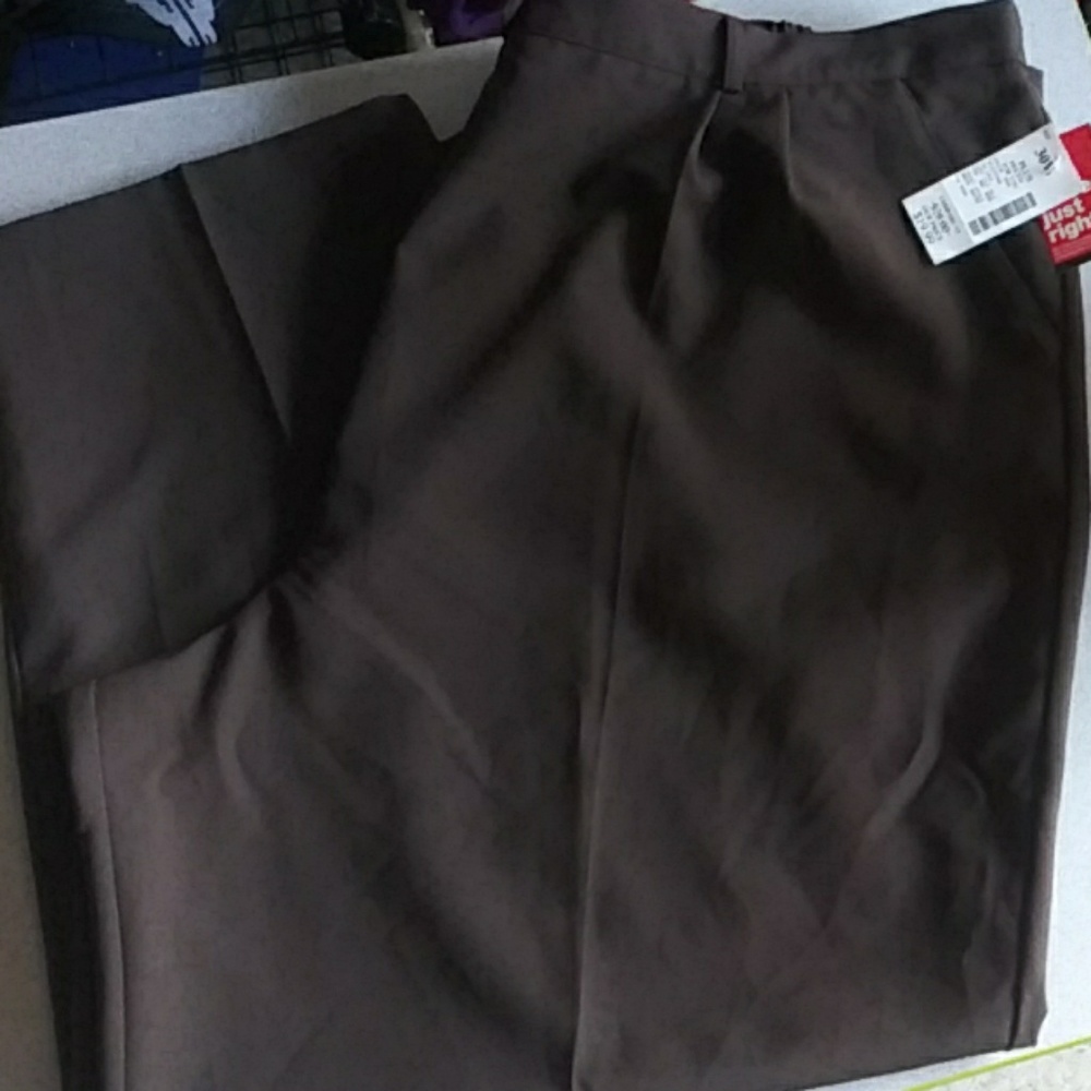 NWT Fashion Bug Brown Slacks for women size 30W